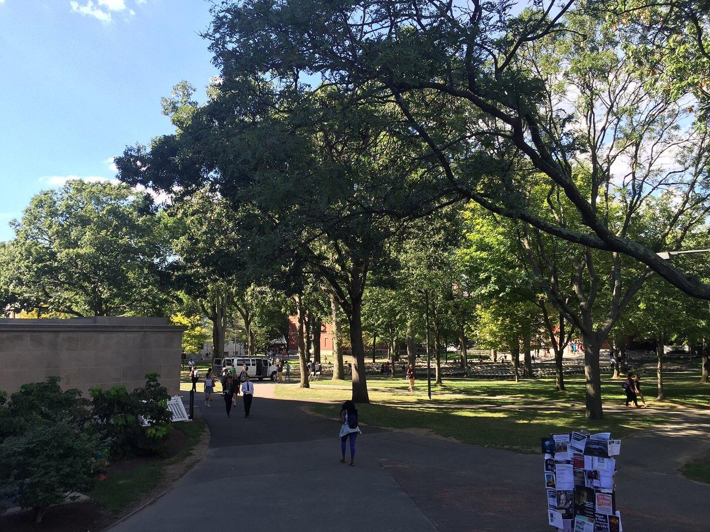 Front lawns and brick buildings on the Harvard University campus
